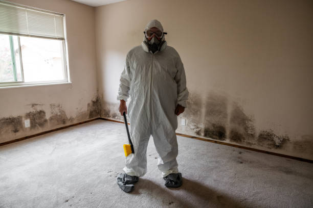 Best Mold Removal for HVAC Installations  in Fortuna, CA